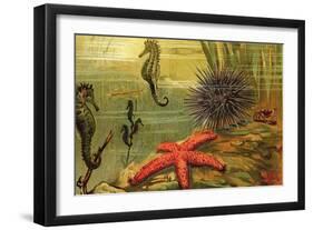 Underwater Scene with Starfish and Seahorses-null-Framed Art Print