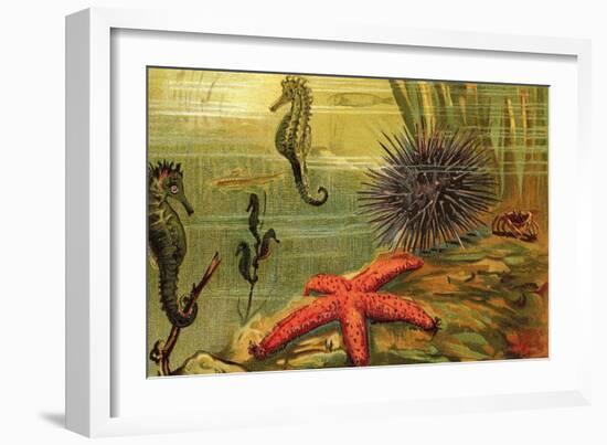 Underwater Scene with Starfish and Seahorses-null-Framed Art Print