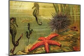 Underwater Scene with Starfish and Seahorses-null-Mounted Art Print