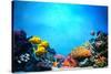 Underwater Scene-Michal Bednarek-Stretched Canvas