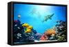 Underwater Scene-Michal Bednarek-Framed Stretched Canvas