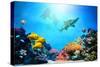 Underwater Scene-Michal Bednarek-Stretched Canvas