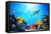 Underwater Scene-Michal Bednarek-Framed Stretched Canvas