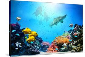 Underwater Scene-Michal Bednarek-Stretched Canvas