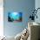 Underwater Scene-Michal Bednarek-Photographic Print displayed on a wall