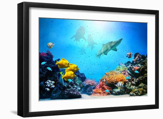 Underwater Scene-Michal Bednarek-Framed Photographic Print