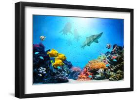 Underwater Scene-Michal Bednarek-Framed Photographic Print