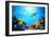 Underwater Scene-Michal Bednarek-Framed Photographic Print