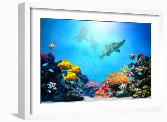 Underwater Scene-Michal Bednarek-Framed Photographic Print