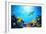 Underwater Scene-Michal Bednarek-Framed Photographic Print