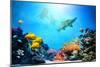 Underwater Scene-Michal Bednarek-Mounted Photographic Print