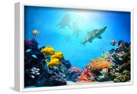 Underwater Scene-Michal Bednarek-Framed Photographic Print