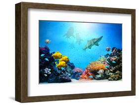 Underwater Scene-Michal Bednarek-Framed Photographic Print