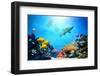 Underwater Scene-Michal Bednarek-Framed Photographic Print