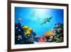 Underwater Scene-Michal Bednarek-Framed Photographic Print