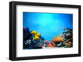 Underwater Scene-Michal Bednarek-Framed Photographic Print