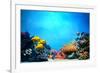 Underwater Scene-Michal Bednarek-Framed Photographic Print