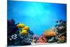 Underwater Scene-Michal Bednarek-Mounted Photographic Print