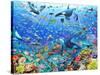 Underwater Scene-Adrian Chesterman-Stretched Canvas