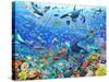 Underwater Scene-Adrian Chesterman-Stretched Canvas