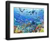 Underwater Scene-Adrian Chesterman-Framed Art Print