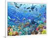 Underwater Scene-Adrian Chesterman-Framed Art Print