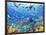 Underwater Scene-Adrian Chesterman-Framed Art Print