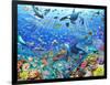 Underwater Scene-Adrian Chesterman-Framed Art Print