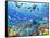 Underwater Scene-Adrian Chesterman-Framed Stretched Canvas