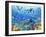 Underwater Scene-Adrian Chesterman-Framed Art Print