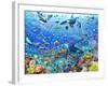 Underwater Scene-Adrian Chesterman-Framed Art Print