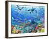 Underwater Scene-Adrian Chesterman-Framed Art Print