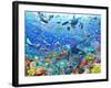 Underwater Scene-Adrian Chesterman-Framed Art Print