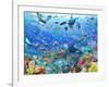 Underwater Scene-Adrian Chesterman-Framed Art Print