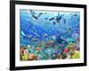 Underwater Scene-Adrian Chesterman-Framed Art Print