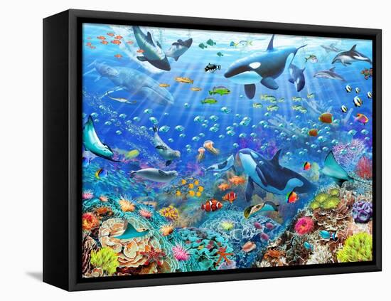 Underwater Scene-Adrian Chesterman-Framed Stretched Canvas