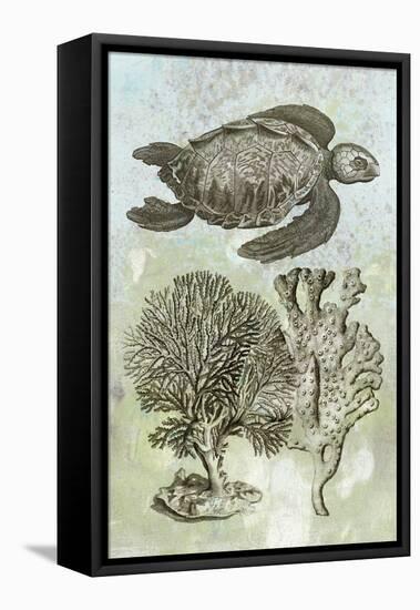 Underwater Sea Turtle I-Vision Studio-Framed Stretched Canvas