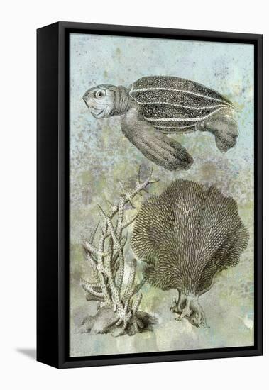 Underwater Sea Turtle II-Vision Studio-Framed Stretched Canvas