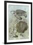 Underwater Sea Turtle II-Vision Studio-Framed Art Print