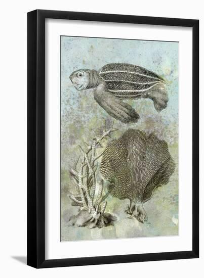 Underwater Sea Turtle II-Vision Studio-Framed Art Print