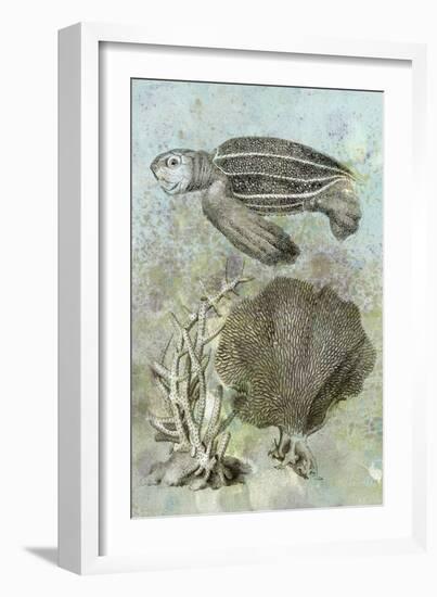 Underwater Sea Turtle II-Vision Studio-Framed Art Print