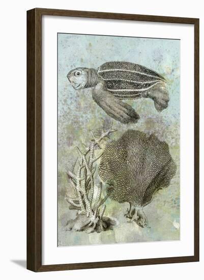 Underwater Sea Turtle II-Vision Studio-Framed Art Print