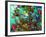 Underwater Shark-Howie Green-Framed Giclee Print