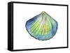 Underwater Shell 1-Beverly Dyer-Framed Stretched Canvas