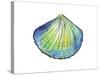 Underwater Shell 1-Beverly Dyer-Stretched Canvas