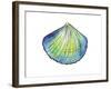 Underwater Shell 1-Beverly Dyer-Framed Art Print