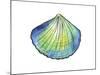 Underwater Shell 1-Beverly Dyer-Mounted Art Print