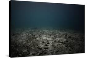 Underwater Shoot of a Dead Sea Bottom with Remains of Coral Reef-Dudarev Mikhail-Stretched Canvas