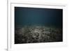 Underwater Shoot of a Dead Sea Bottom with Remains of Coral Reef-Dudarev Mikhail-Framed Photographic Print