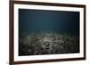 Underwater Shoot of a Dead Sea Bottom with Remains of Coral Reef-Dudarev Mikhail-Framed Photographic Print